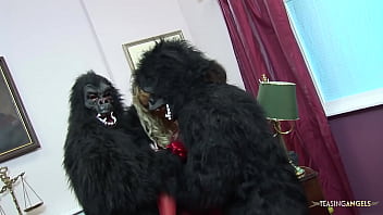Two guys in gorilla suits get to bang two blonde MILFs